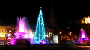 Trafalgar Square at Christmas 1          